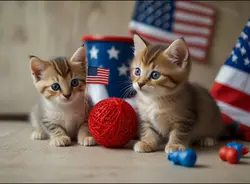 Born in the USA