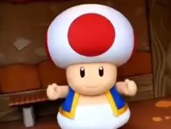 TOAD SLAYYSs
