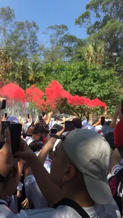 o que é a vida?