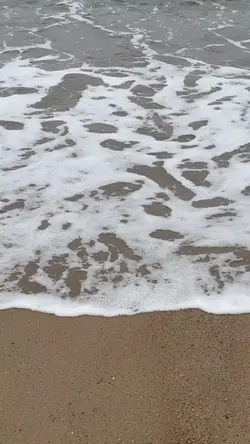 BOM DIA 