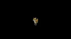 CAN YOU GET THE DOG 