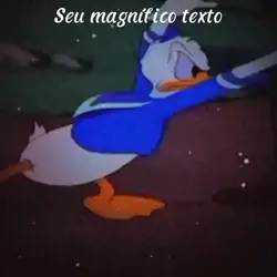 kkk Seu texto 