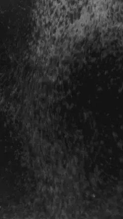 Midnight 