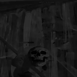 Raider464☠️