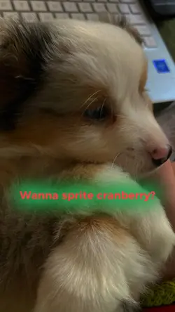 Sprite cranberry !!!