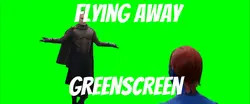 Flying away meme