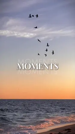 MOMENTS 🤍✨