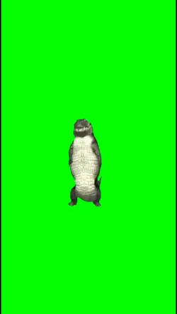 alligator