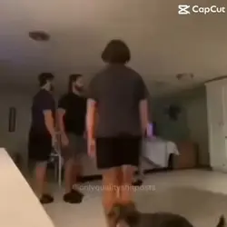 Memes
