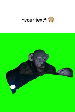 Oh noo