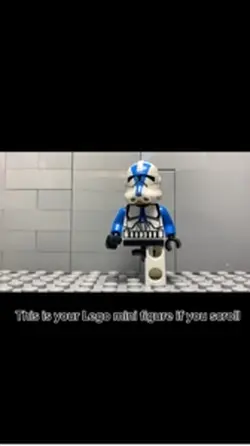 This is your minifig
