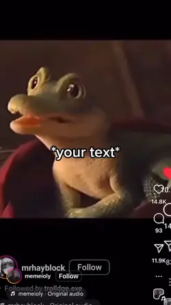 Crocodile