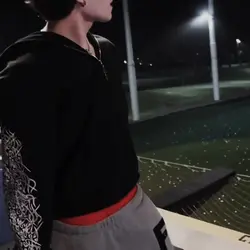 Sturniolo edit 