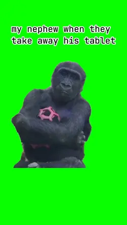 gorilla meme