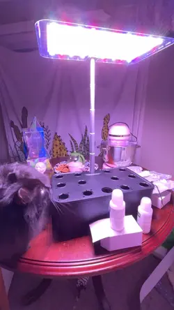 Unboxing