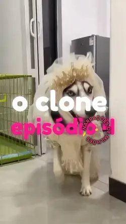 O clone EPS 04