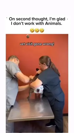 Vet visit 
