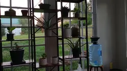 calm place