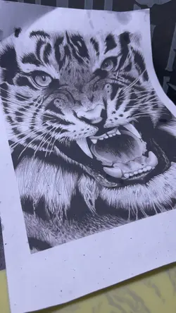 Hubris Tiger