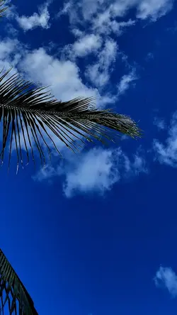 Paisagem 