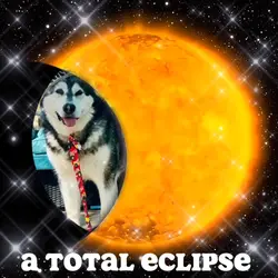 Total Eclipse 