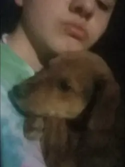 my dog