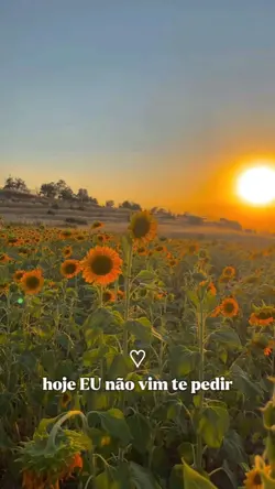 Vim só te agradecer