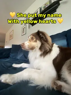 Yellow Hearts 💛💛💛