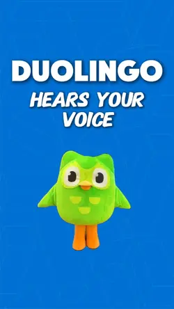 Duolingo Meme