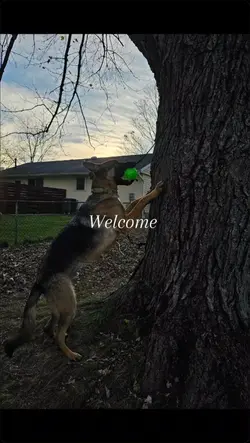 hehe