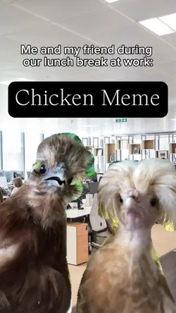 Chicken Meme