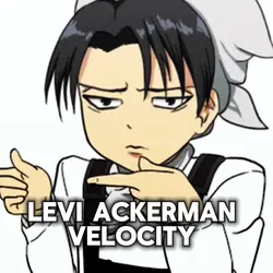 Levi Ackerman velo 