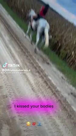 2 bodies 