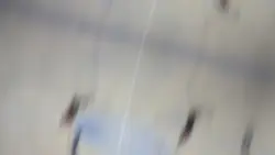 FIFA 23