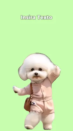 Dancing dog
