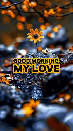 Good morning ☀️ 