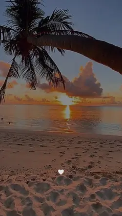 eu quero ver o Sol n
