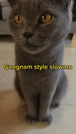 Gangnam style slowmo