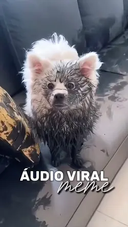 Caos e destruição 😂