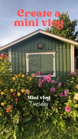 MINI DAILY VLOG