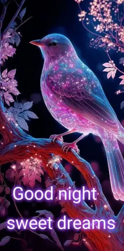 Good night