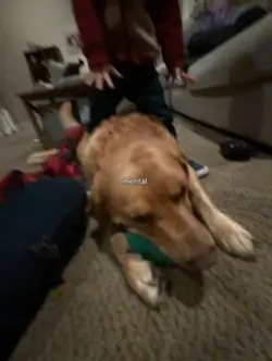 .