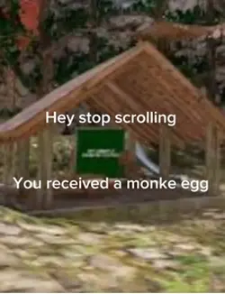 egg