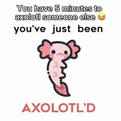 Axolotl