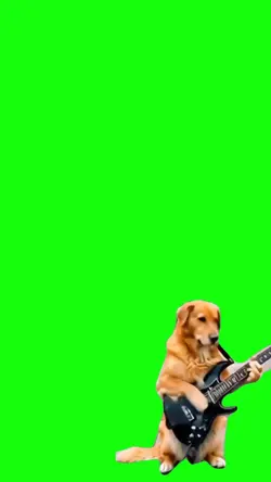 cachorro Guns 