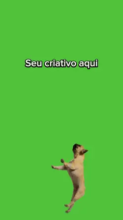 Criativo 