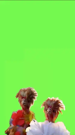 Dancing chicken 