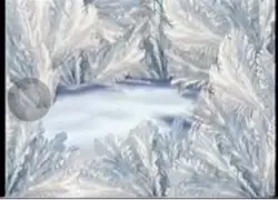 ytp