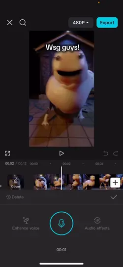 How to record voic