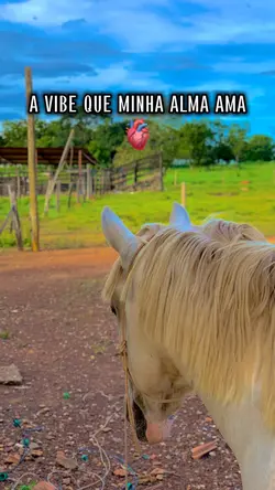 Minha vibe 🐴🫀😍